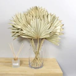 Dunelm Dried Gold Sun Spear Bundle