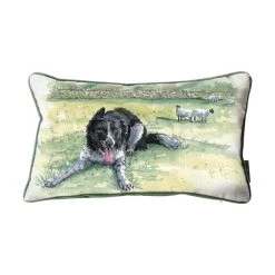 Kilburn_and_scott Aquarelle Collie Cushion