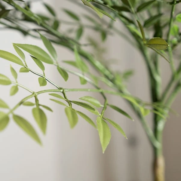 Nandina Tree 100cm - Image 2