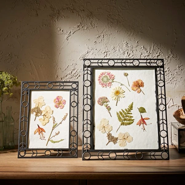 Natural History Museum Detailed Frame 8" X 10" - Image 2