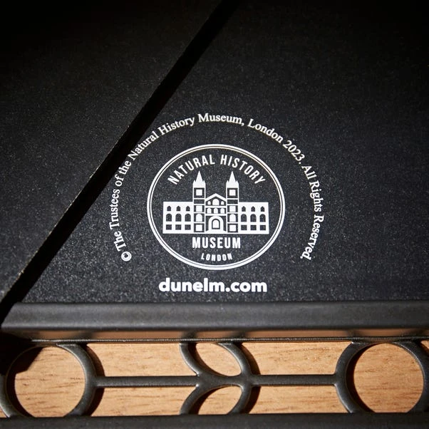 Natural History Museum Detailed Frame 8" X 10" - Image 5